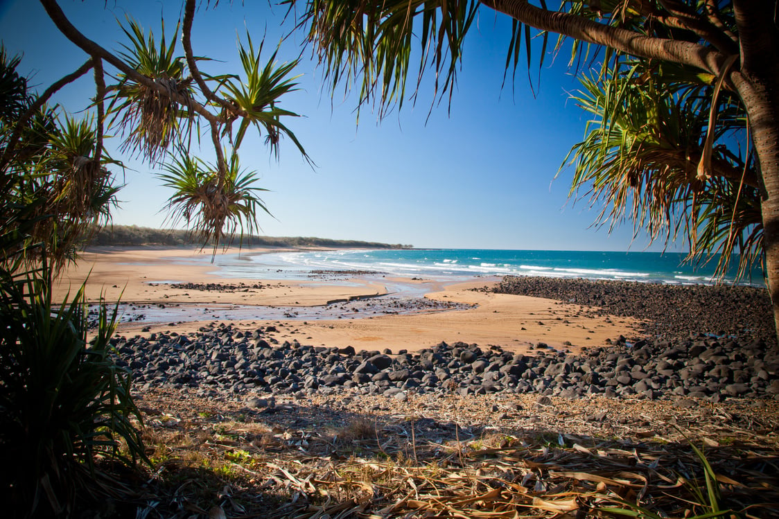 Mon Repos Beach Bundaberg Queensland Australia